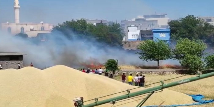 Kahta’da anız yangı buğday pazarına sıçramadan söndürüldü