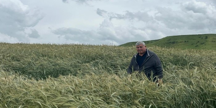 Hasat yaklaştı, çiftçiler tedirgin