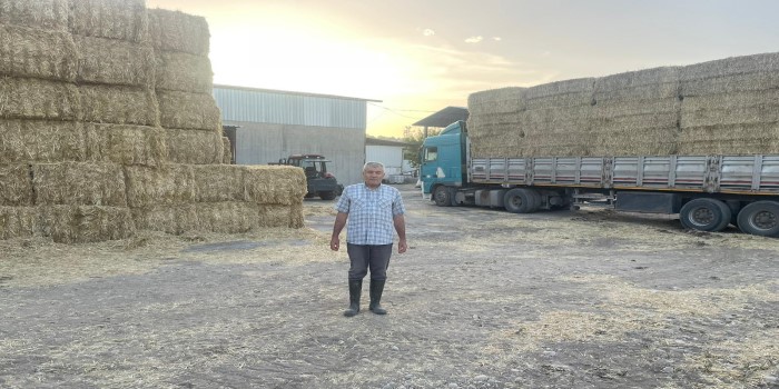 Öztürk: “Samanlar bu yıl tarlada kalacak”