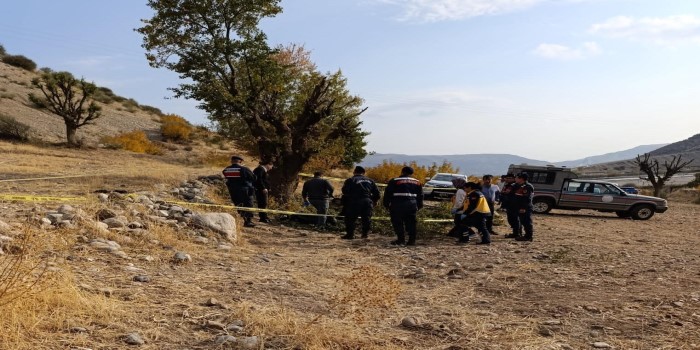 Budama yaparken ağaçtan düşen adam hayatını kaybetti