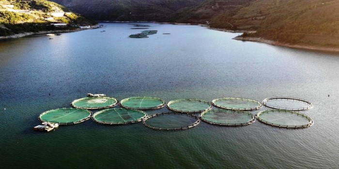 Adıyaman’da balıkçılığa destek süreci devam ediyor