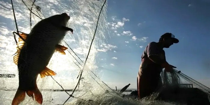 Adıyaman’da su ürünleri av yasağı 1 Nisan’da başlıyor