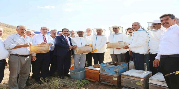 Sincik’te sezonun ilk bal hasadı gerçekleştirildi