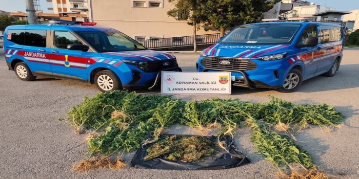 Kahta’da 1.5 kilo kubar esrar ve 42 kök kenevir ele geçirildi